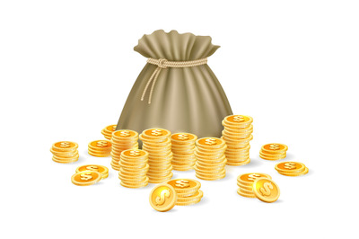 Gold coins bag