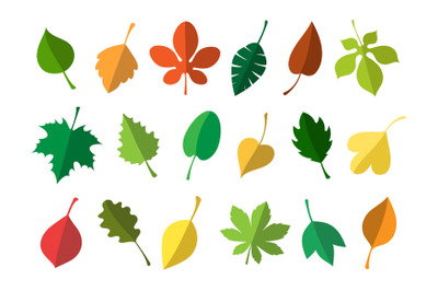 Simple autumn leaves