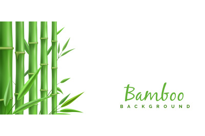 Green bamboo stems decoration