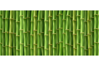 Green bamboo texture