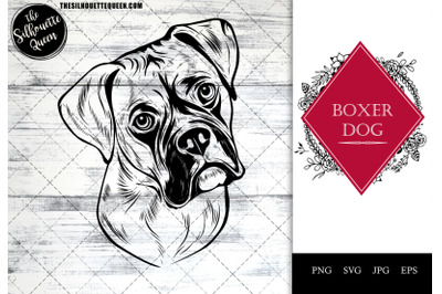 Boxer Dog Funny Head Portrait Sketch Vector