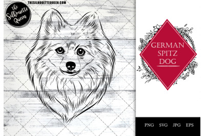 German Spitz Dog Funny Head Portrait Sketch Vector