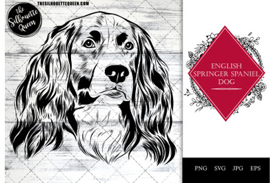English Springer Spaniel Funny Head Portrait Sketch Vector