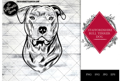 Staffordshire Bull Terrier Dog Funny Head Portrait Sketch Vector