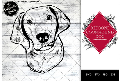 Redbone Coonhound Dog Funny Head Portrait Sketch Vector