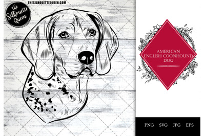 American English coonhound Dog Funny Head Portrait Sketch Vector