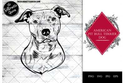 American Pit Bull Terrier Dog Funny Head Portrait Sketch Vector