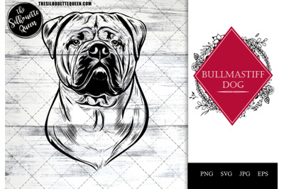 Bullmastiff  Dog Funny Head Portrait Sketch Vector