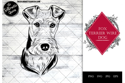 Fox Terrier Wire Dog Funny Head Portrait Sketch Vector