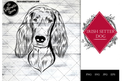 Irish Setter Dog Funny Head Portrait Sketch Vector