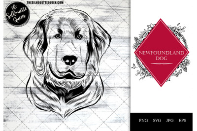 Newfoundland Dog Funny Head Portrait Sketch Vector