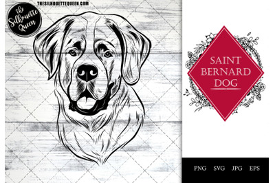 Saint Bernard Dog Funny Head Portrait Sketch Vector