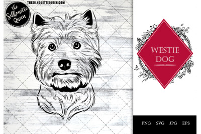 Westie Dog Funny Head Portrait Sketch Vector