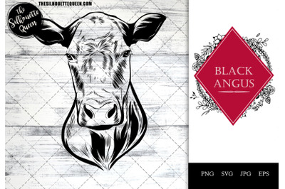 Black Angus Cow Funny Head Portrait Sketch Vector