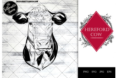 Hereford Cow Funny Head Portrait Sketch Vector