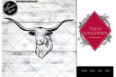 Texas Longhorn Cow Funny Head Portrait Sketch Vector