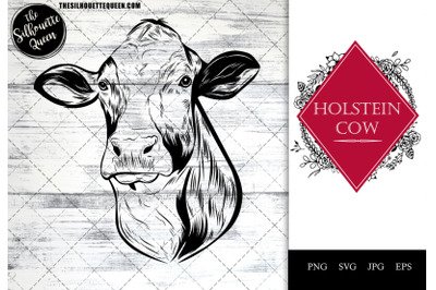 Holstein Cow Funny Head Portrait Sketch Vector