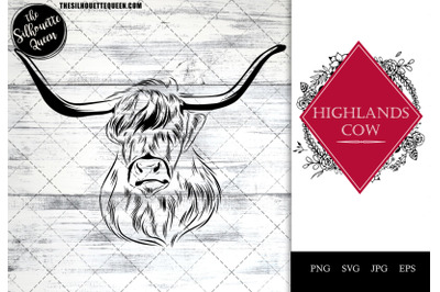 Highlands Cow Funny Head Portrait Sketch Vector