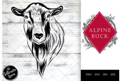 Alpine Buck Goat Funny Head Portrait Sketch Vector