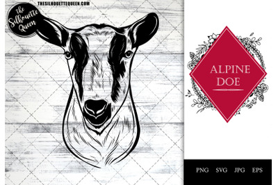 Alpine Doe Goat Funny Head Portrait Sketch Vector