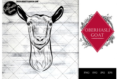 Oberhasli Goat Funny Head Portrait Sketch Vector