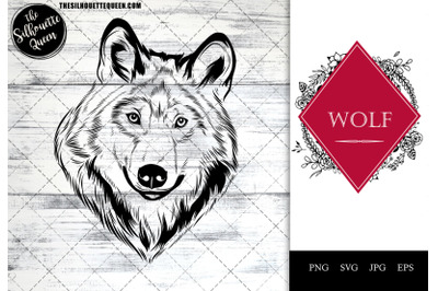 Wolf Funny Head Portrait Sketch Vector