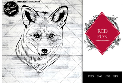 Red Fox Funny Head Portrait Sketch Vector