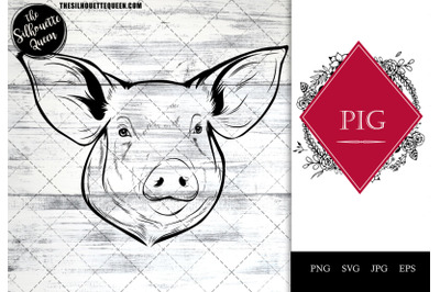 Pig Funny Head Portrait Sketch Vector