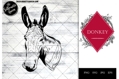 Donkey Funny Head Portrait Sketch Vector