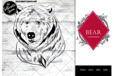 Bear Funny Head Portrait Sketch Vector