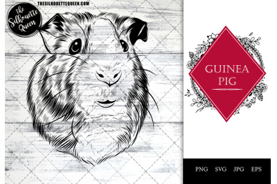 Guinea Pig Funny Head Portrait Sketch Vector