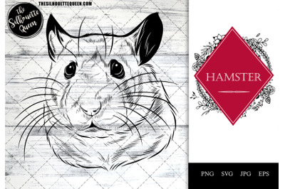 Hamster Funny Head Portrait Sketch Vector