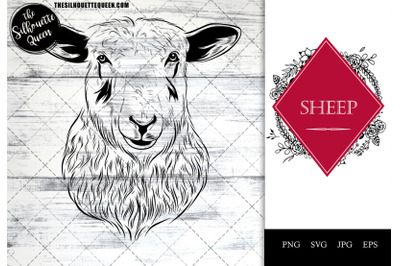 Sheep Funny Head Portrait Sketch Vector