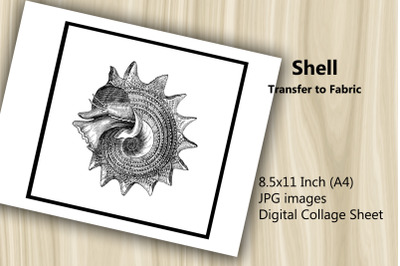 Transfer to Fabric Sheet - Shell