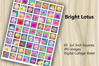 Digital Collage Sheet - Bright Lotus