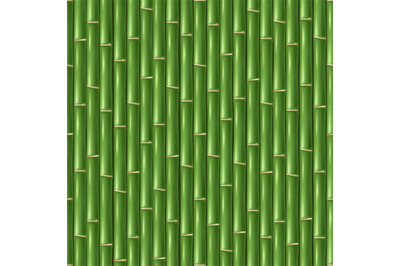 Chinese green bamboo wallpaper