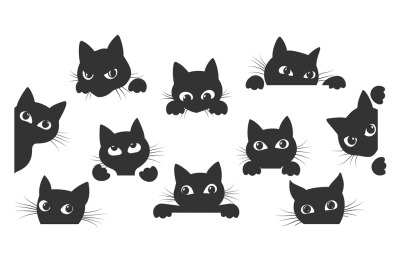 Cat spy animal cartoon