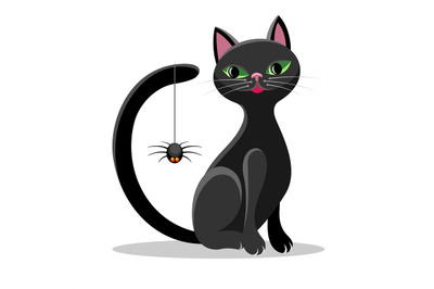 Black cat and spider