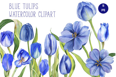 Watercolor Tulips Clipart. Botanical clipart