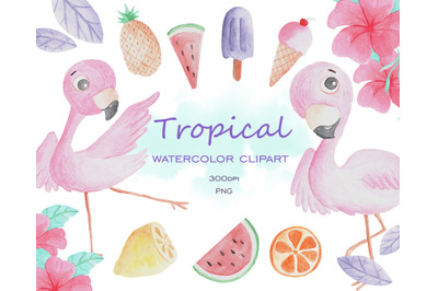 Watercolor tropical flamingo clipart png, tropical fruts PNG and digit