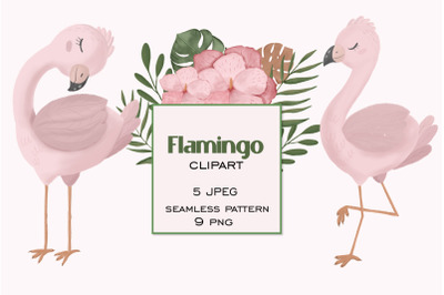 Baby pink flamingo clipart and seamless pattern