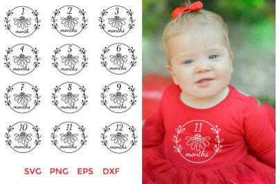 Baby Monthly Milestone Wreath SVG. Baby Milestone SVG Bundle