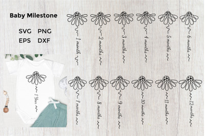 Baby Milestone SVG Bundle. Babys First Year Monthly SVG, PNG