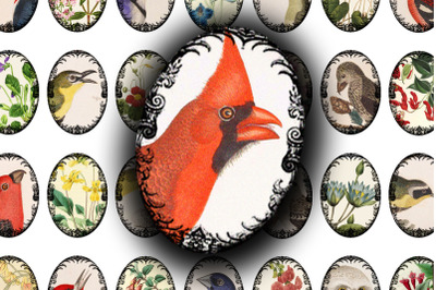 Digital Collage Sheet - Garden and Songbirds