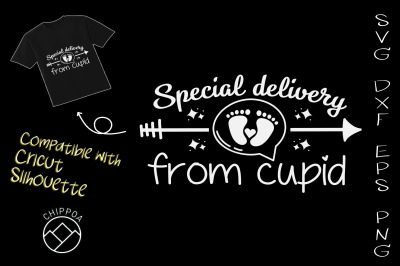 Special Delivery from Cupid Baby Reveal