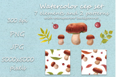 Watercolor mushroom collection with berries and leaves