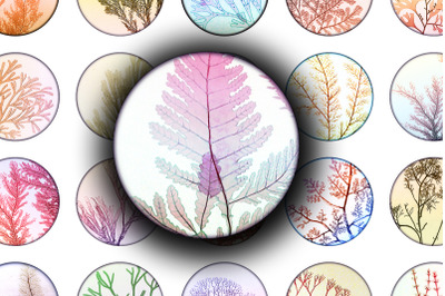 Digital Collage Sheet - Marine Algae