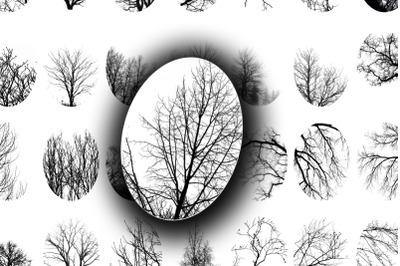 Digital Collage Sheet - Bare Trees