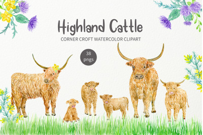 Watercolour Highland Cow Clipart