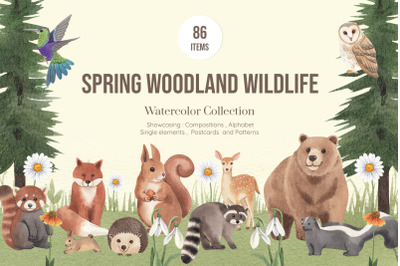 Spring Woodland Wildlife Watercolor